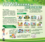H7N9疾病防控