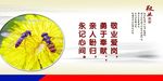 敬业爱岗