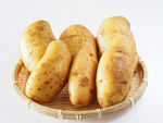 土豆