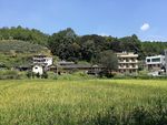 乡村
