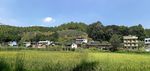 乡村