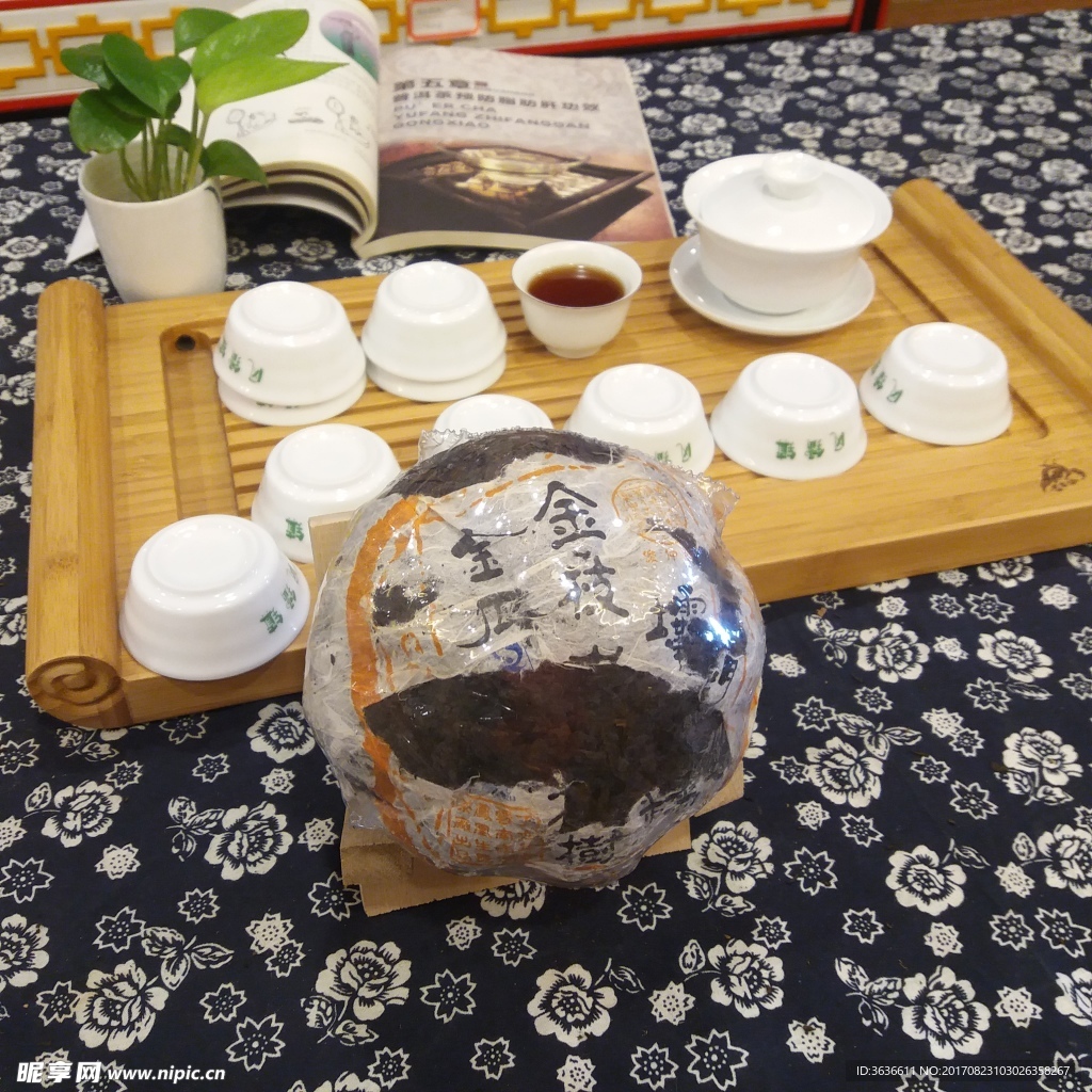 茶