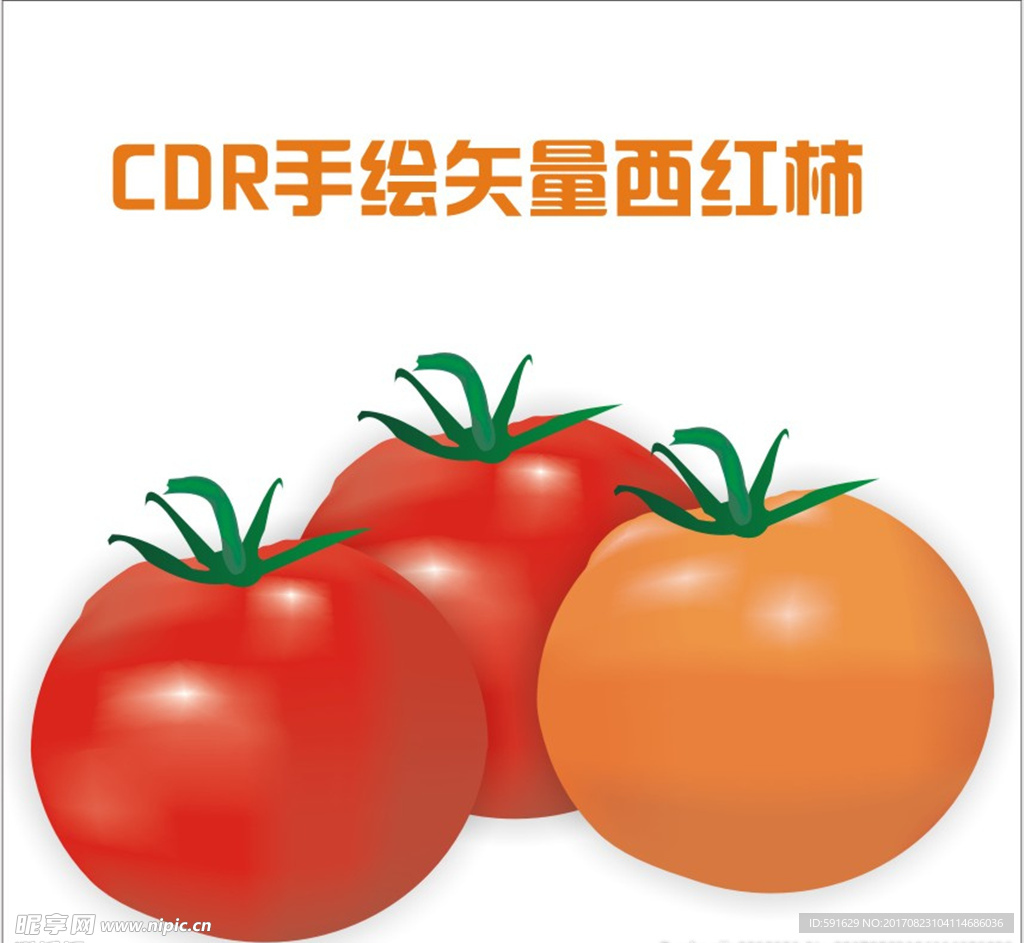 手绘矢量番茄西红柿