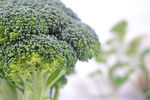 西兰花特写