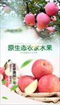 苹果素材水果