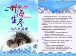 海参
