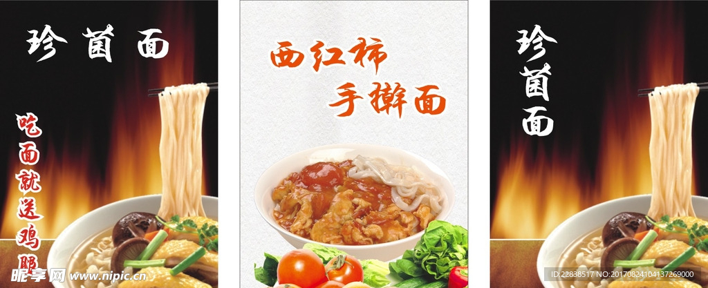 西红柿面 真菌面
