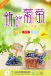 秋季夏季水果新鲜葡萄促销宣传海