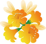 小黄花