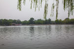 北京后海胡同