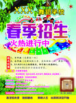 舞蹈学校 春季招生 琴键 绿色