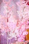 婚礼 现场布置 浪漫 温馨