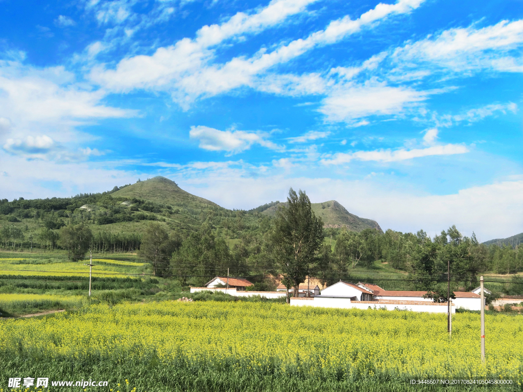 草原风景