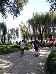 大明湖