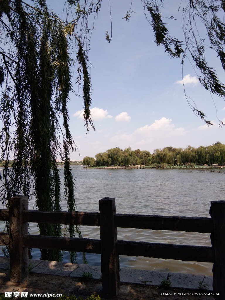 大明湖