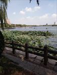 大明湖