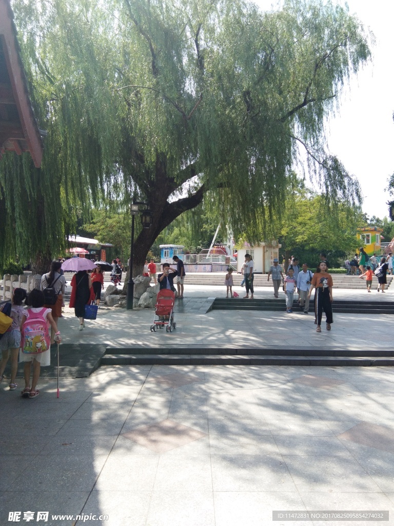 大明湖