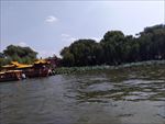 大明湖