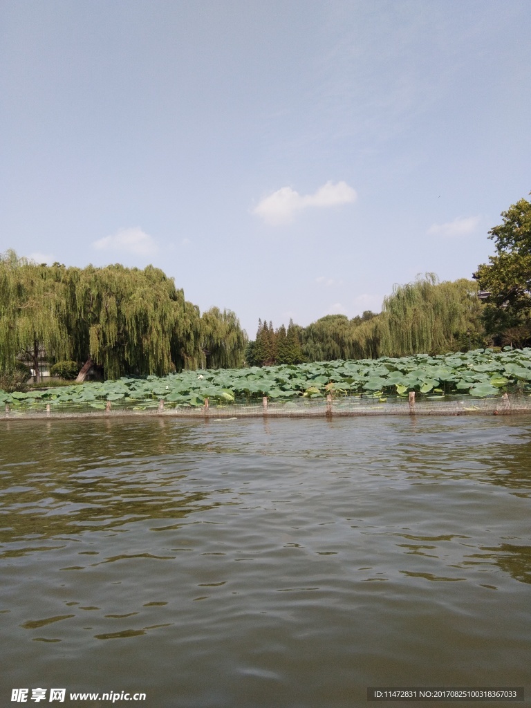 大明湖