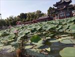 大明湖