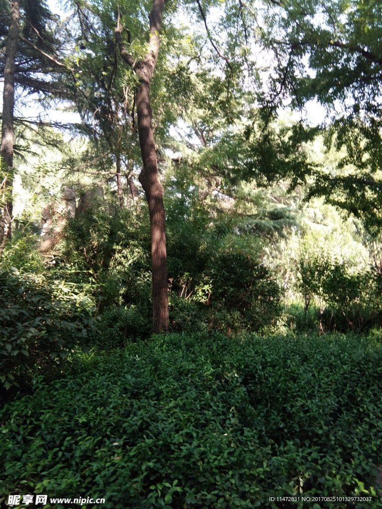 大明湖景点