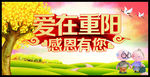 爱在重阳