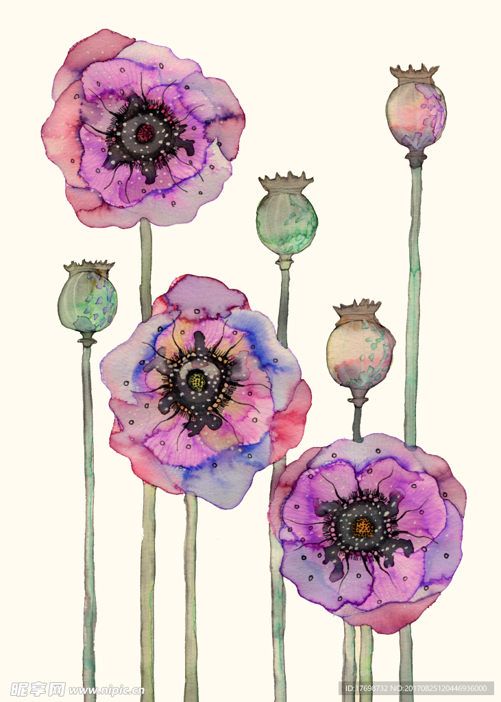 水彩花卉