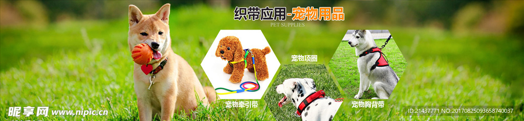 宠物用品