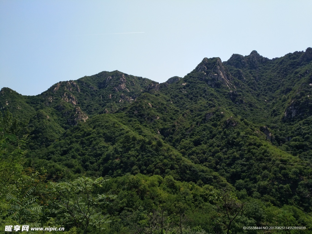 山