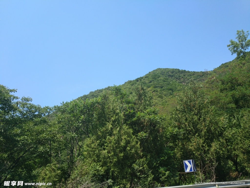 山