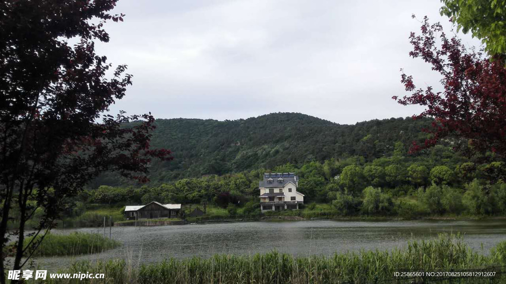 青山绿水