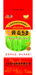 冀麦58