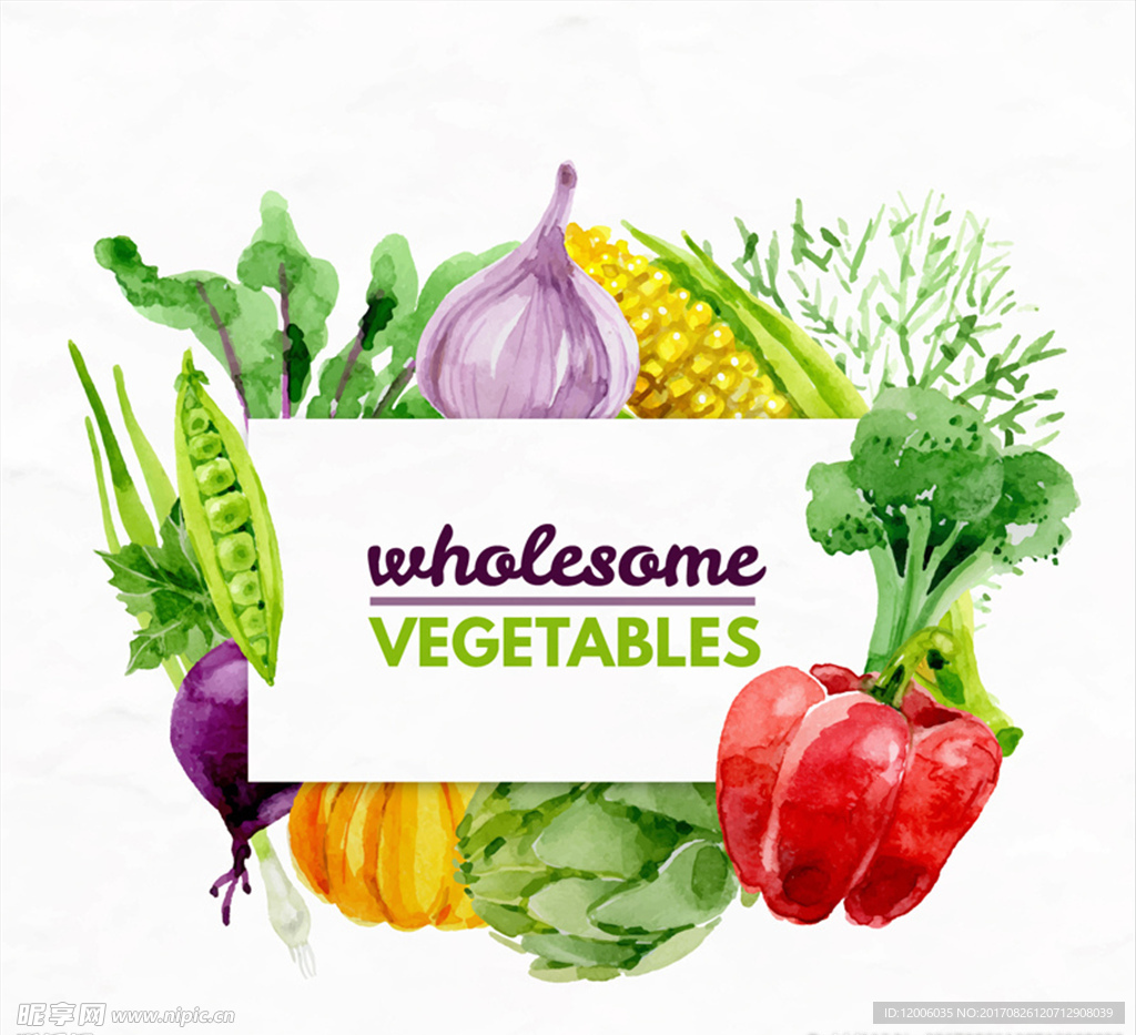 水彩绘健康蔬菜矢量素材