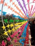 风车节
