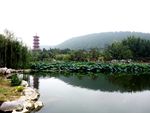 云龙湖