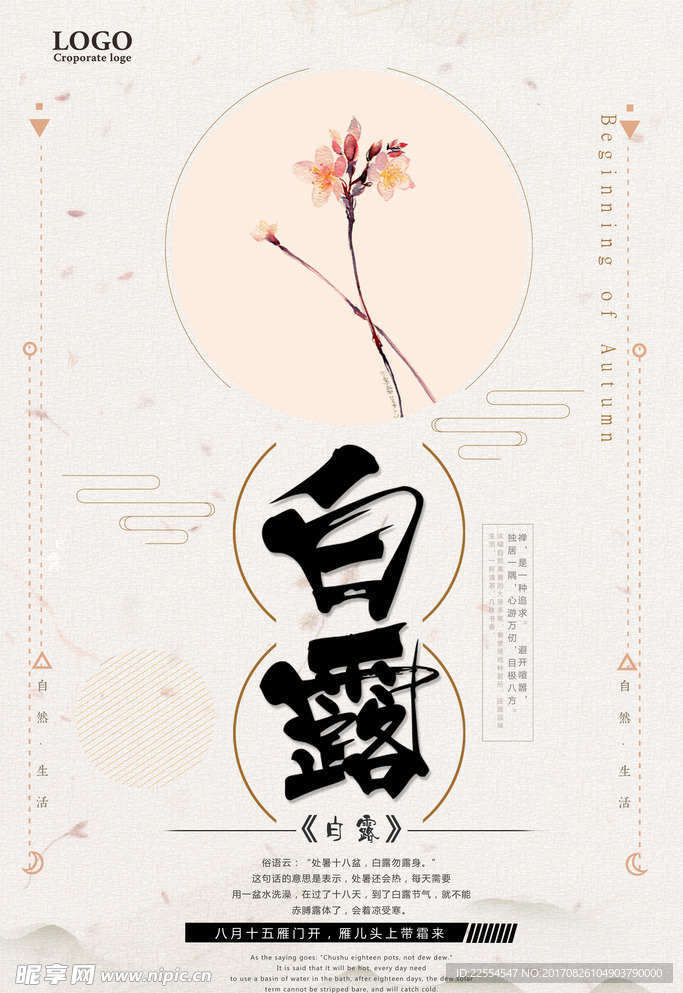 白露创意设计海报