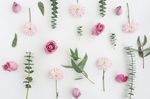 鲜花画框背景图