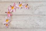 鲜花画框背景图