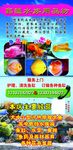 水族广告