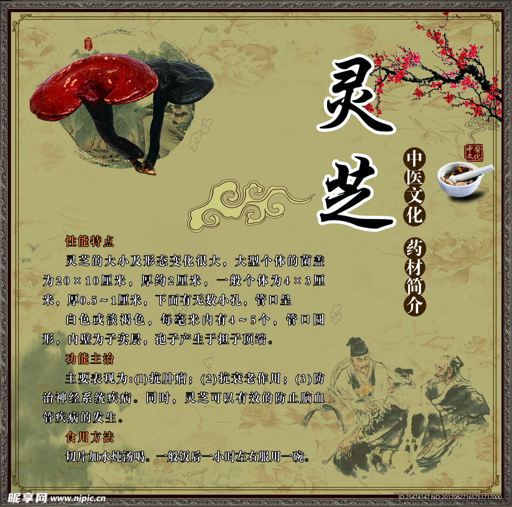 灵芝