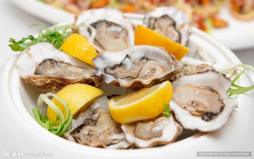 生蚝牡蛎 海鲜