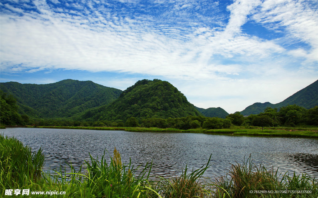 神农架  名胜景点 大九湖