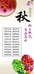 秋季养生