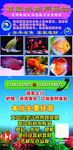 水族广告