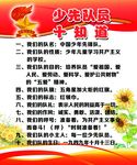 少先队员十知道