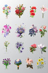 手绘花束鲜花素材