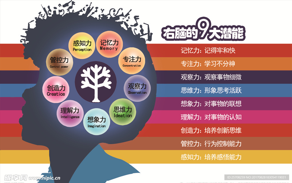 大脑的九大技能
