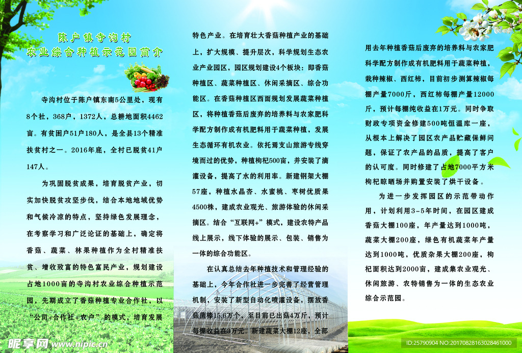 香菇简介