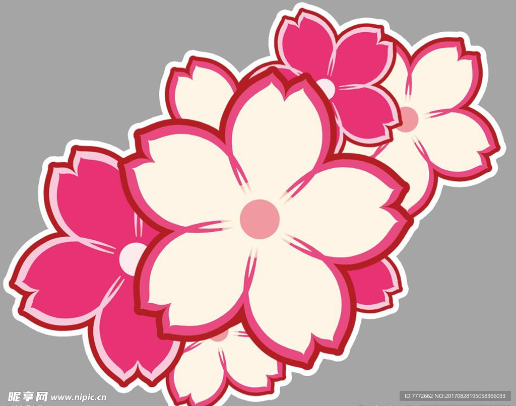 樱花  花瓣
