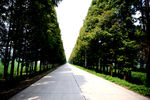 公路风景